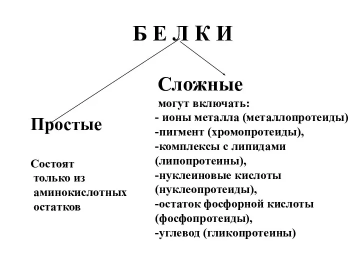 Б Е Л К И Простые Состоят только из аминокислотных