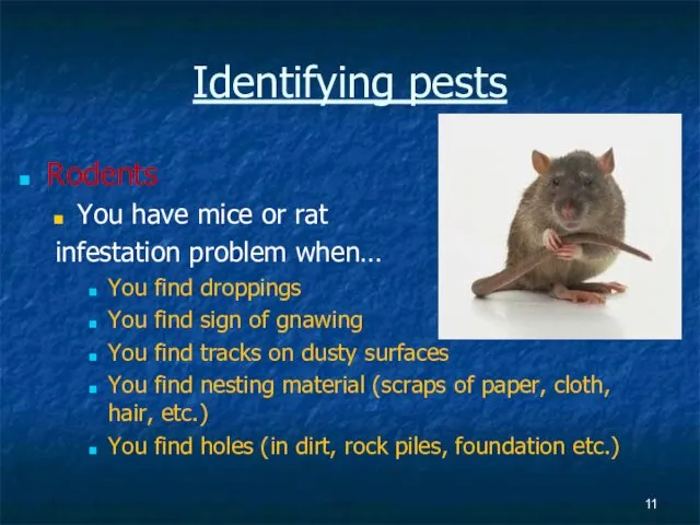 Identifying pests Rodents You have mice or rat infestation problem