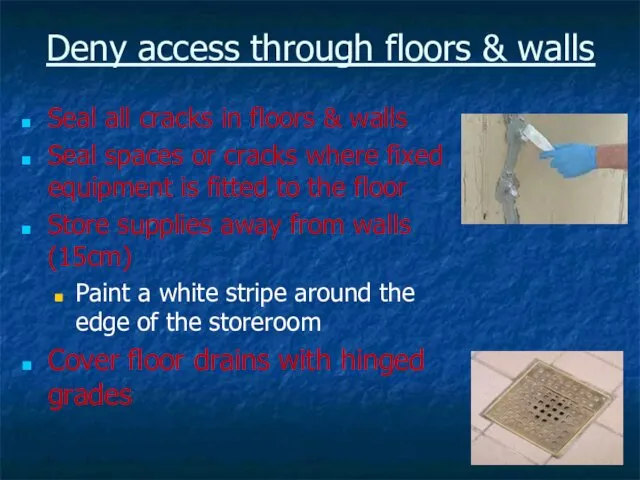 Deny access through floors & walls Seal all cracks in