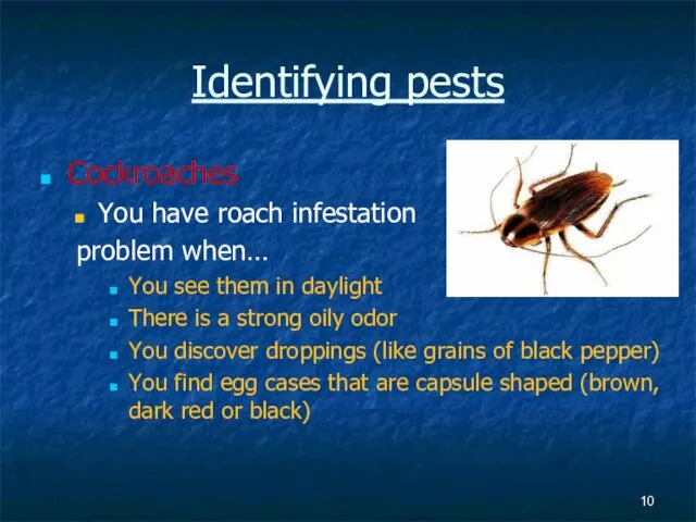 Identifying pests Cockroaches You have roach infestation problem when… You