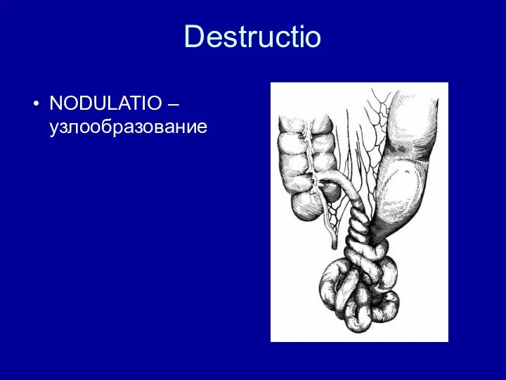 Destructio NODULATIO – узлообразование