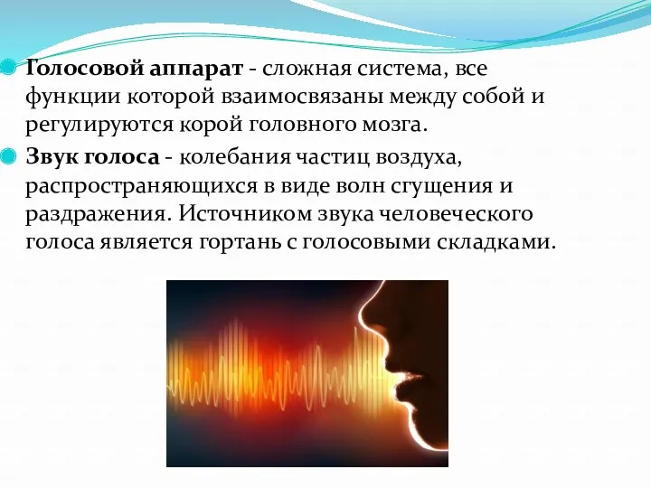 Голосовой аппарат - сложная система, все функции которой взаимосвязаны между