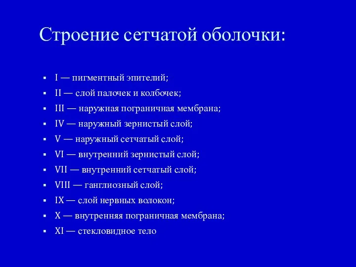 Строение сетчатой оболочки: I — пигментный эпителий; II — слой