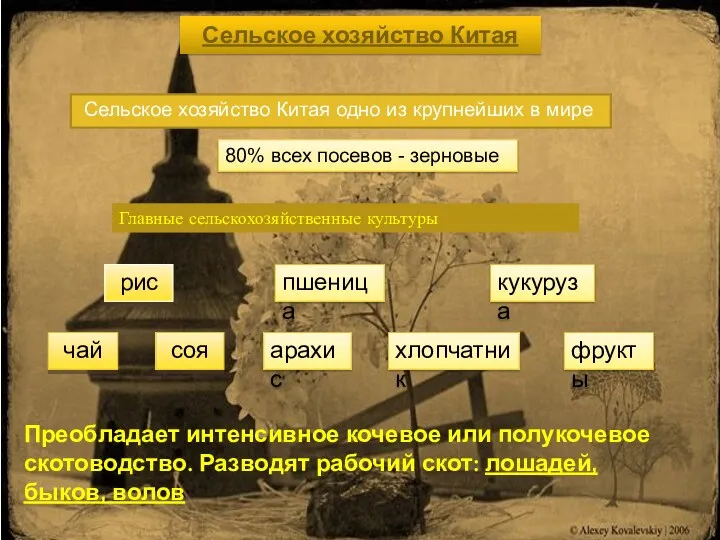 Сельское хозяйство Китая Сельское хозяйство Китая одно из крупнейших в