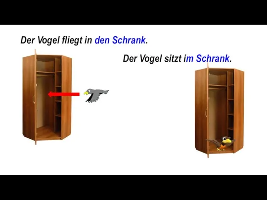 Der Vogel fliegt in den Schrank. Der Vogel sitzt im Schrank.