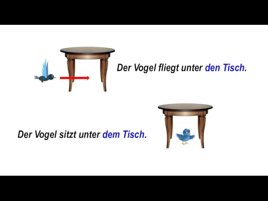 Der Vogel fliegt unter den Tisch. Der Vogel sitzt unter dem Tisch.