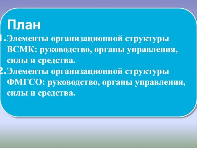 План Элементы организационной структуры ВСМК: руководство, органы управления, силы и