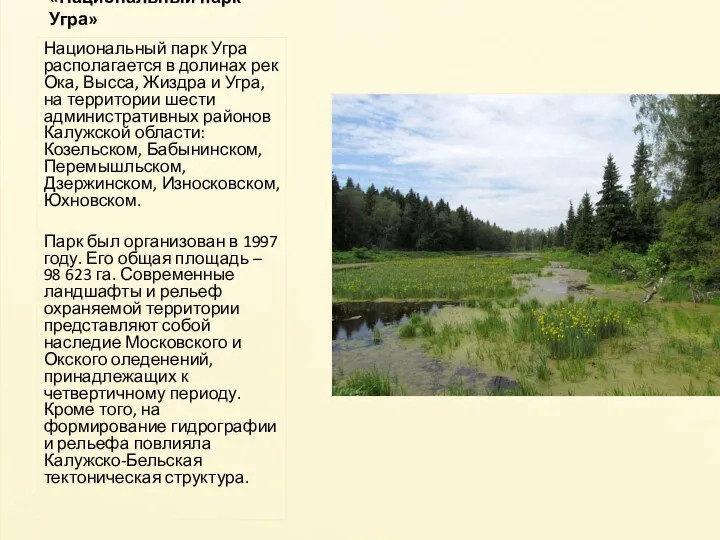 «Национальный парк Угра» Национальный парк Угра располагается в долинах рек