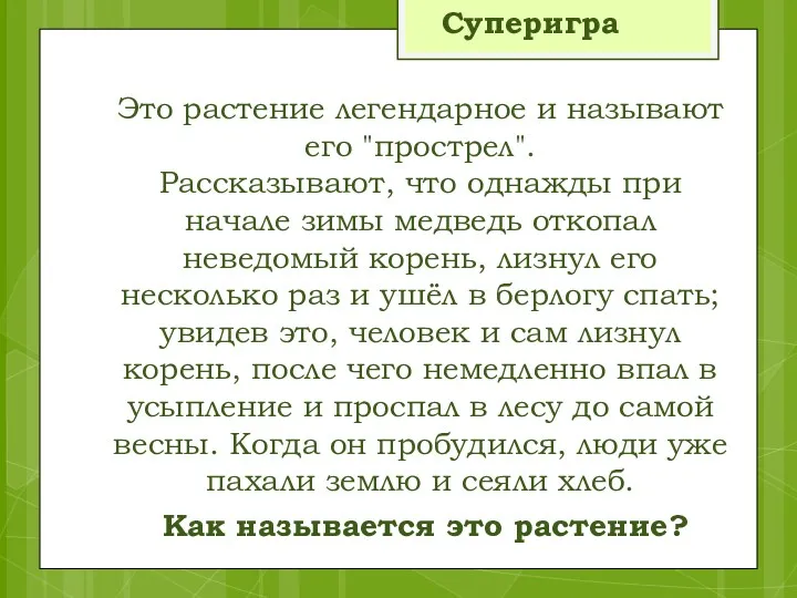 Это растение легендарное и называют его "прострел". Рассказывают, что однажды