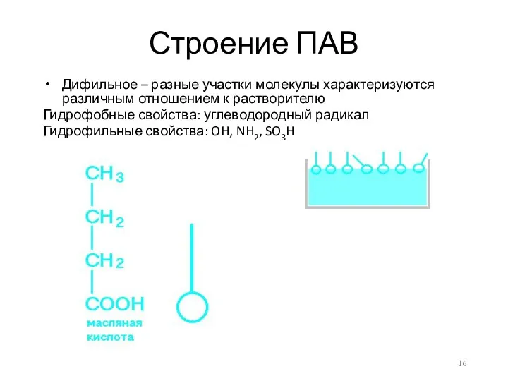 Строение ПАВ Дифильное – разные участки молекулы характеризуются различным отношением