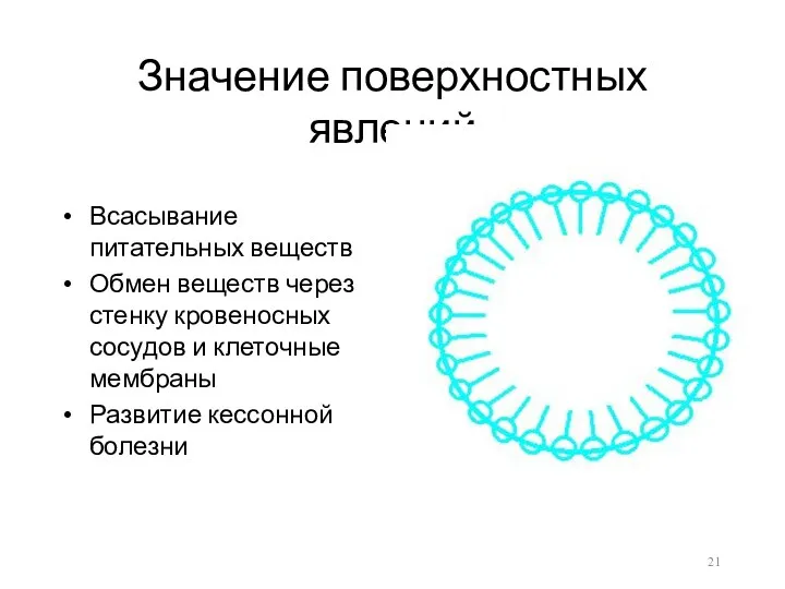 Значение поверхностных явлений Всасывание питательных веществ Обмен веществ через стенку