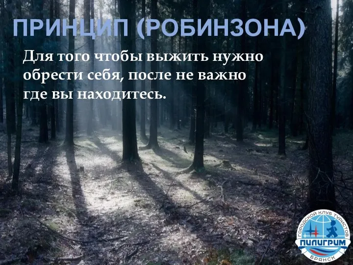 ПРИНЦИП (РОБИНЗОНА) Для того чтобы выжить нужно обрести себя, после не важно где вы находитесь.