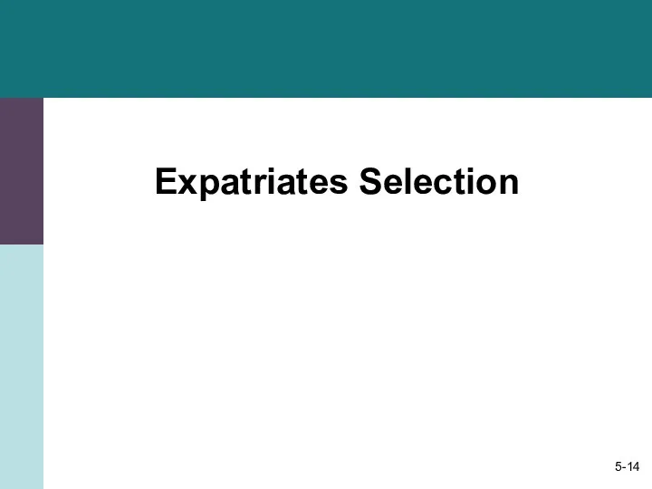 Expatriates Selection