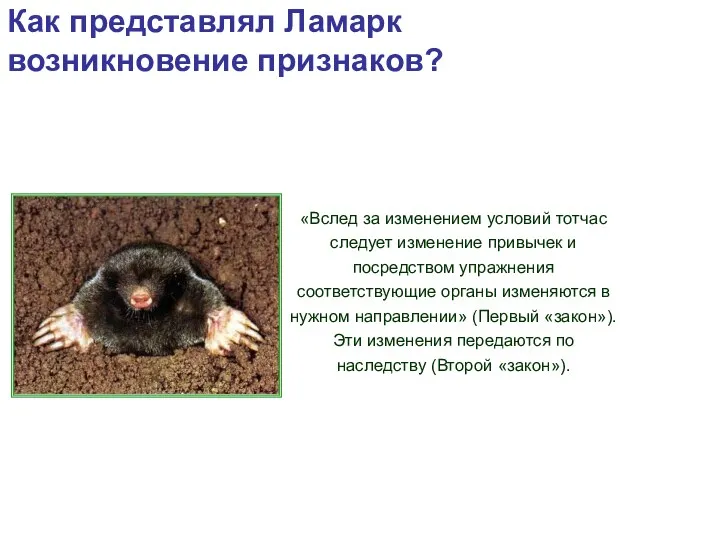 Как представлял Ламарк возникновение признаков? «Вслед за изменением условий тотчас следует изменение привычек