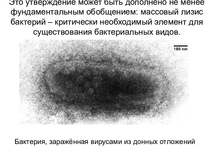 Это утверждение может быть дополнено не менее фундаментальным обобщением: массовый