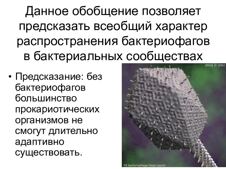 Данное обобщение позволяет предсказать всеобщий характер распространения бактериофагов в бактериальных