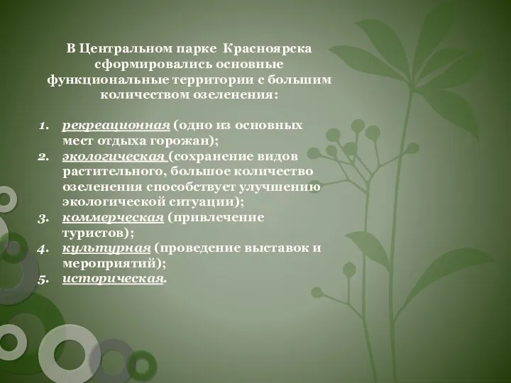 В Центральном парке Красноярска сформировались основные функциональные территории с большим