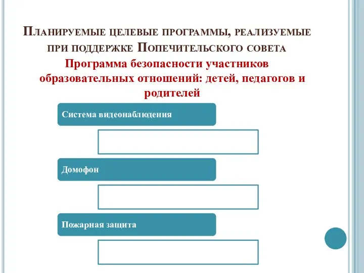 Планируемые целевые программы, реализуемые при поддержке Попечительского совета Программа безопасности