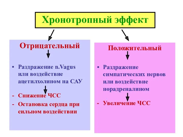 Хронотропный эффект Отрицательный Раздражение n.Vagus или воздействие ацетилхолином на САУ