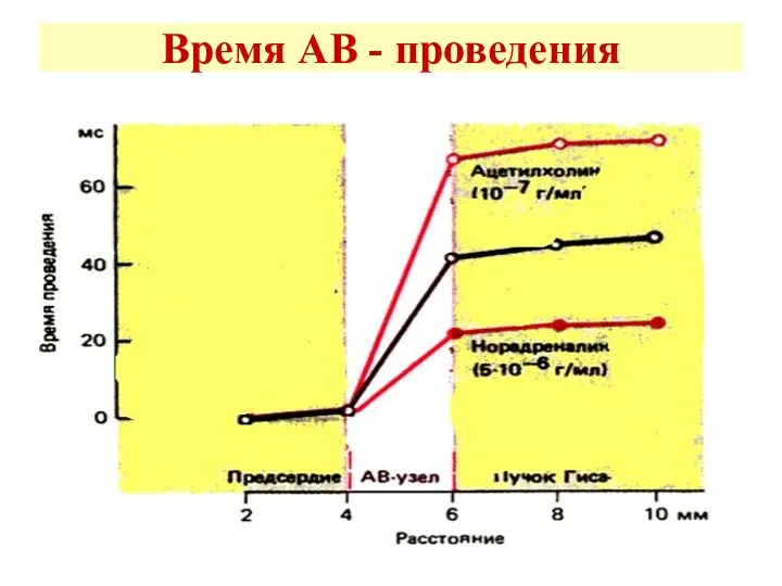 Время АВ - проведения