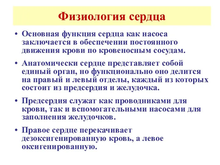 Физиология сердца Основная функция сердца как насоса заключается в обеспечении