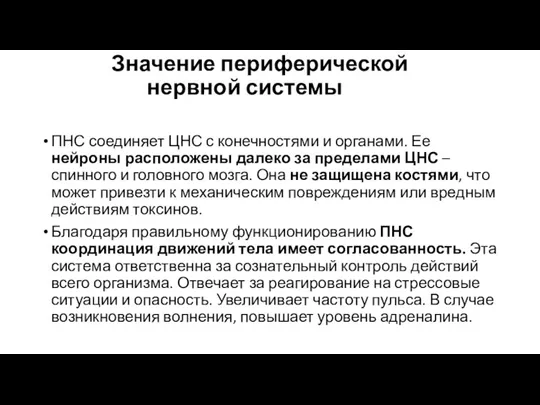 Значение периферической нервной системы ПНС соединяет ЦНС с конечностями и органами. Ее нейроны