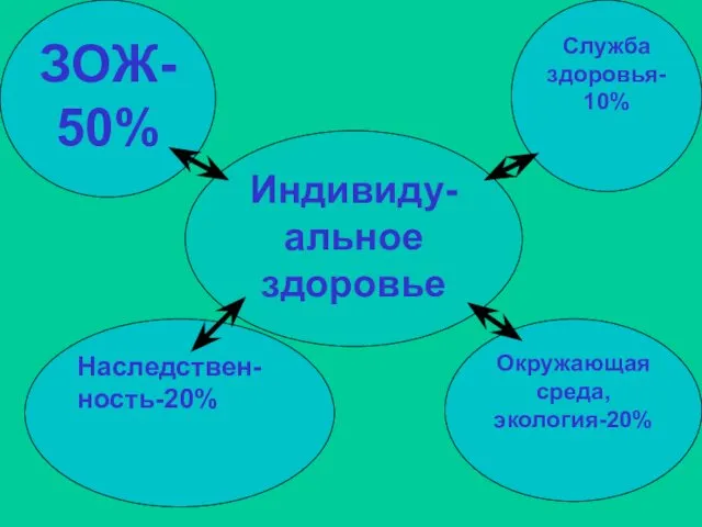 Индивиду- альное здоровье ЗОЖ-50% Наследствен-ность-20% Окружающая среда, экология-20% Служба здоровья-10%