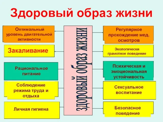 Здоровый образ жизни здоровый образ жизни