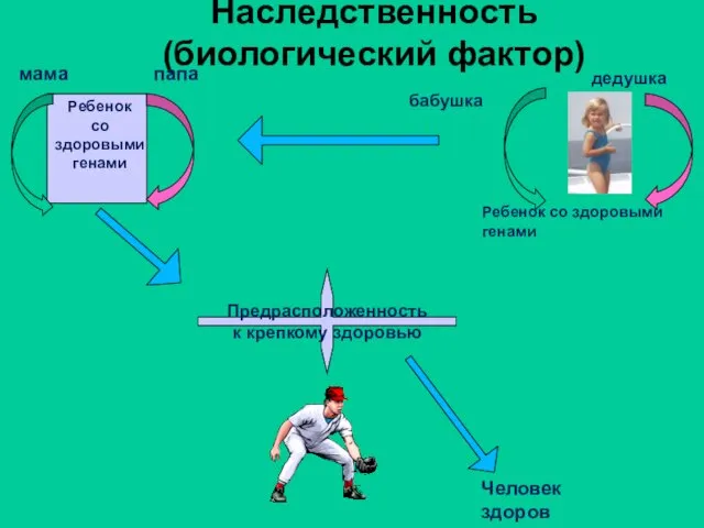 Наследственность (биологический фактор) мама папа Ребенок со здоровыми генами бабушка