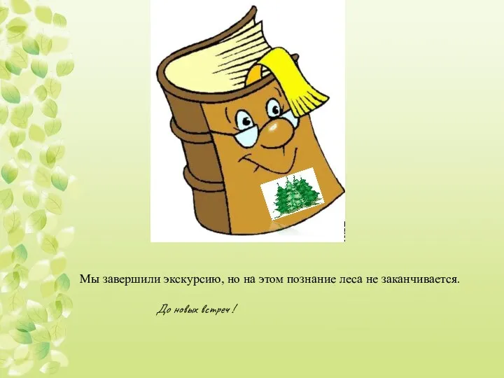 Мы завершили экскурсию, но на этом познание леса не заканчивается. До новых встреч !