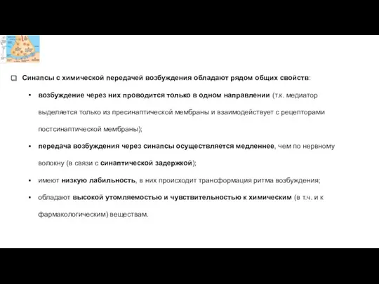 Синапсы с химической передачей возбуждения обладают рядом общих свойств: возбуждение