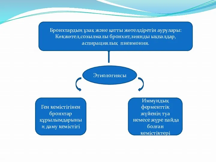 Этиологиясы Ген кемістігінен бронхтар құрылымдарының даму кемістігі Иммундық ферменттік жүйенің