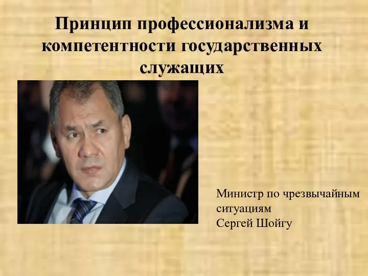 Принцип профессионализма и компетентности государственных служащих Министр по чрезвычайным ситуациям Сергей Шойгу
