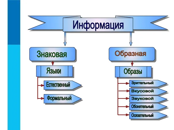 Знаковая Информация Образная Языки Образы Естественный Формальный Зрительный Вкусовой Звуковой Обонятельный Осязательный