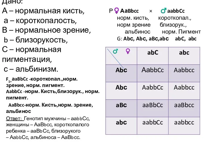 Дано: А – нормальная кисть, а – короткопалость, В –