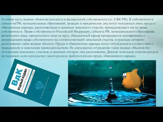 Большая часть водных объектов находится в федеральной собственности (ст. 8