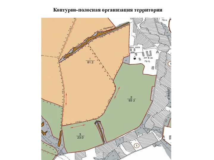 Контурно-полосная организация территории