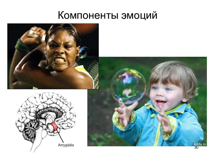 Компоненты эмоций