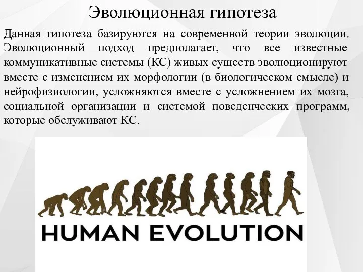 Эволюционная гипотеза Данная гипотеза базируются на современной теории эволюции. Эволюционный