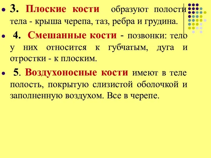 3. Плоские кости образуют полости тела - крыша черепа, таз,