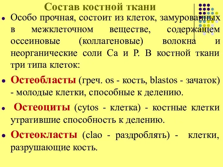 Состав костной ткани Особо прочная, состоит из клеток, замурованных в