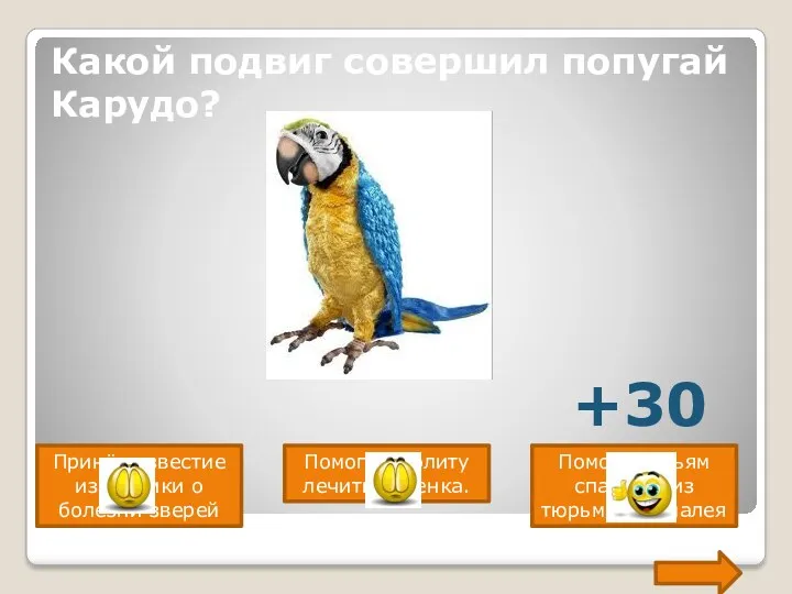 Какой подвиг совершил попугай Карудо? Принёс известие из Африки о