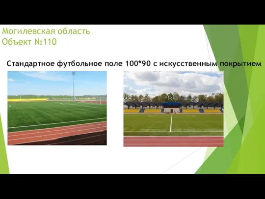 Могилевская область Объект №110 Стандартное футбольное поле 100*90 с искусственным покрытием