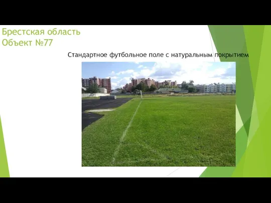 Брестская область Объект №77 Стандартное футбольное поле с натуральным покрытием