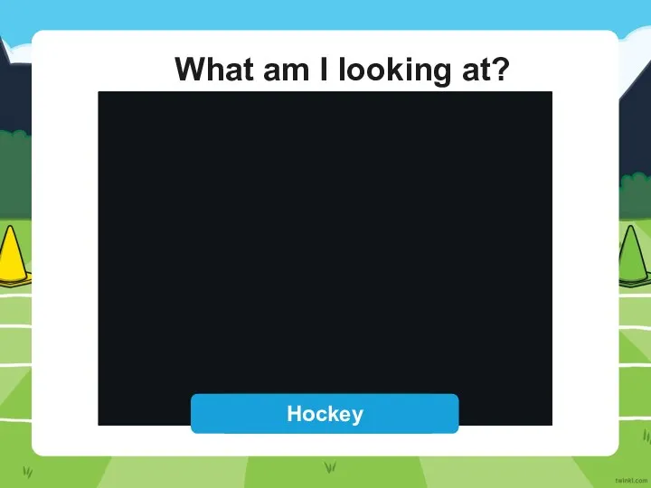 What am I looking at? Reveal Answer Hockey