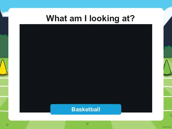 What am I looking at? Reveal Answer Basketball