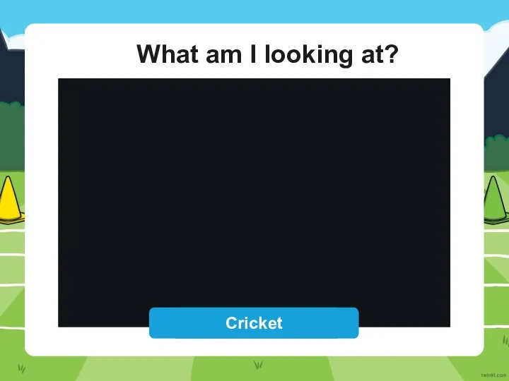 What am I looking at? Reveal Answer Cricket