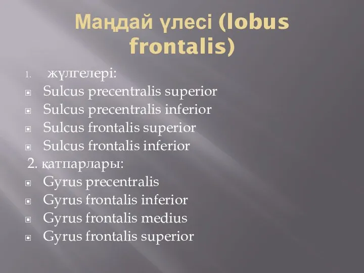 Маңдай үлесі (lobus frontalis) жүлгелері: Sulcus precentralis superior Sulcus precentralis