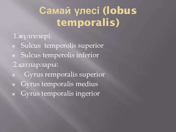 Самай үлесі (lobus temporalis) 1.жүлгелері: Sulcus temperolis superior Sulcus temperolis