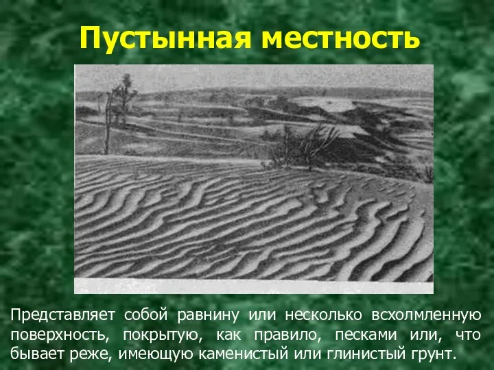 Пустынная местность Представляет собой равнину или несколько всхолмленную поверхность, покрытую,